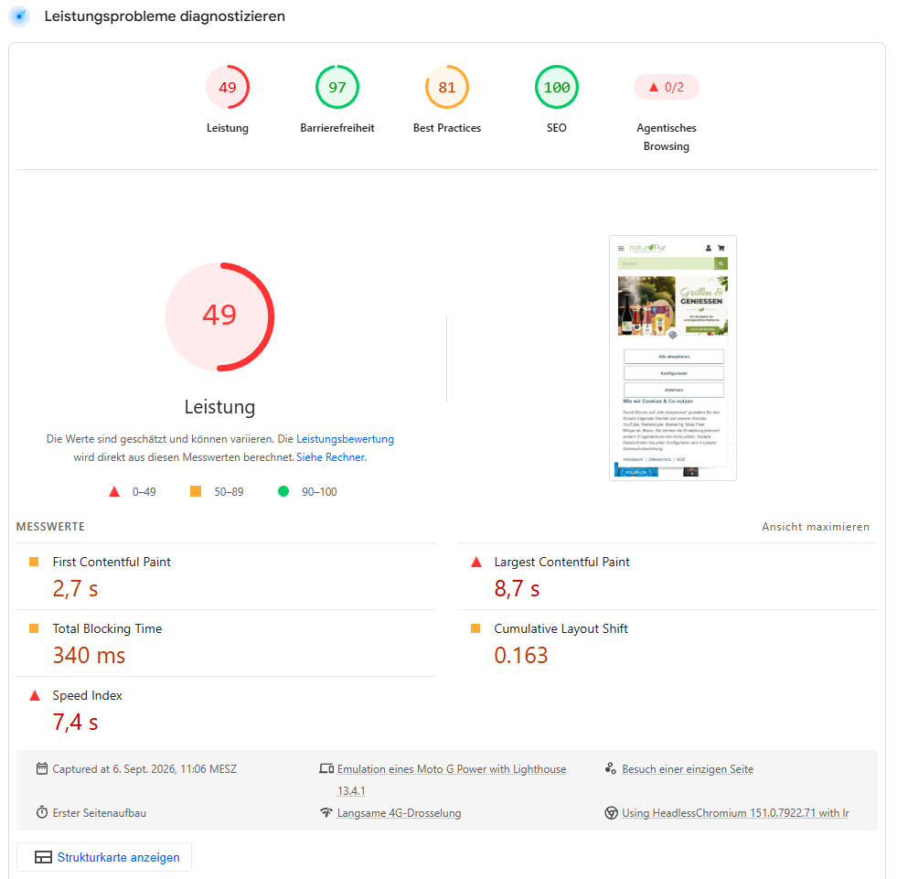 Lighthouse-Labortest: Performance 49 und LCP 8,7 Sekunden